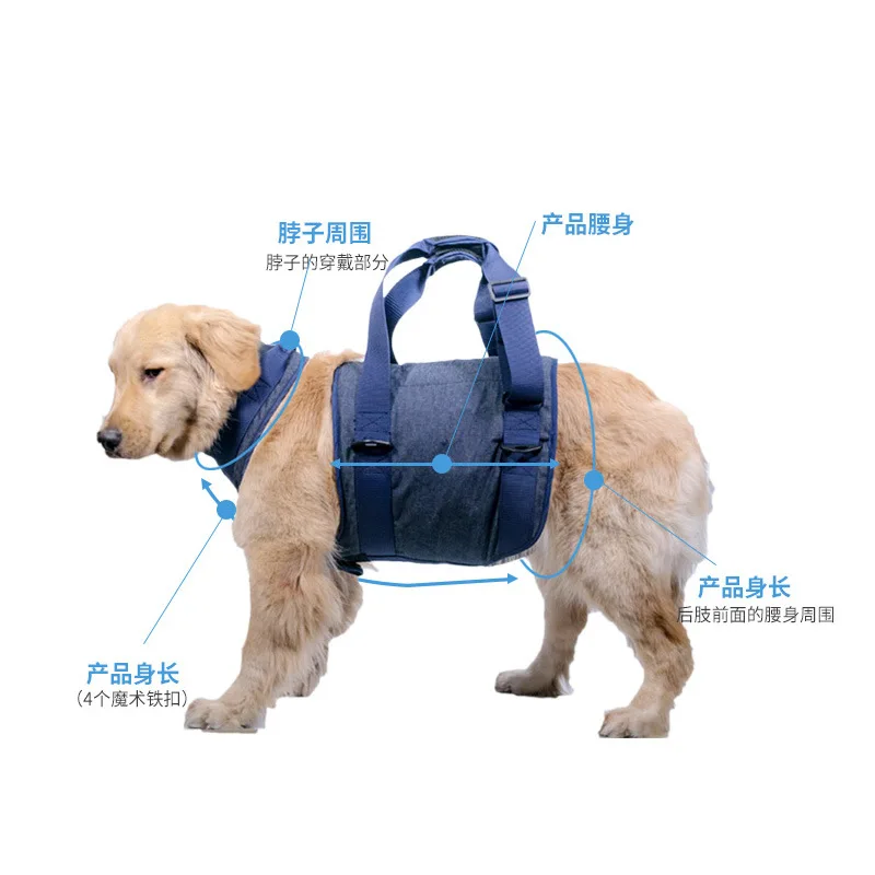 Correa para mascotas, correa para el pecho asistida a mano para caminar para perros mayores, ropa auxiliar para perros, productos para mascotas - imagen 4