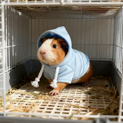Sudadera cálida para hámster - ropa para mascotas pequeñas