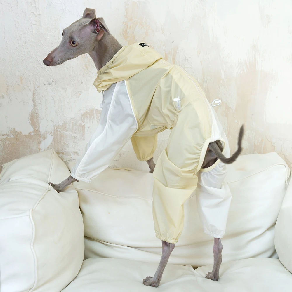 Chaqueta de Verano para Galgo Italiano UPF50+ Impermeable y Ligera