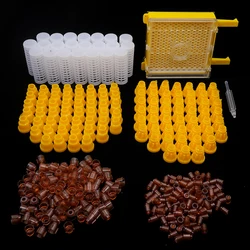 Kit completo Jenter para apicultura – Herramientas cria reinas