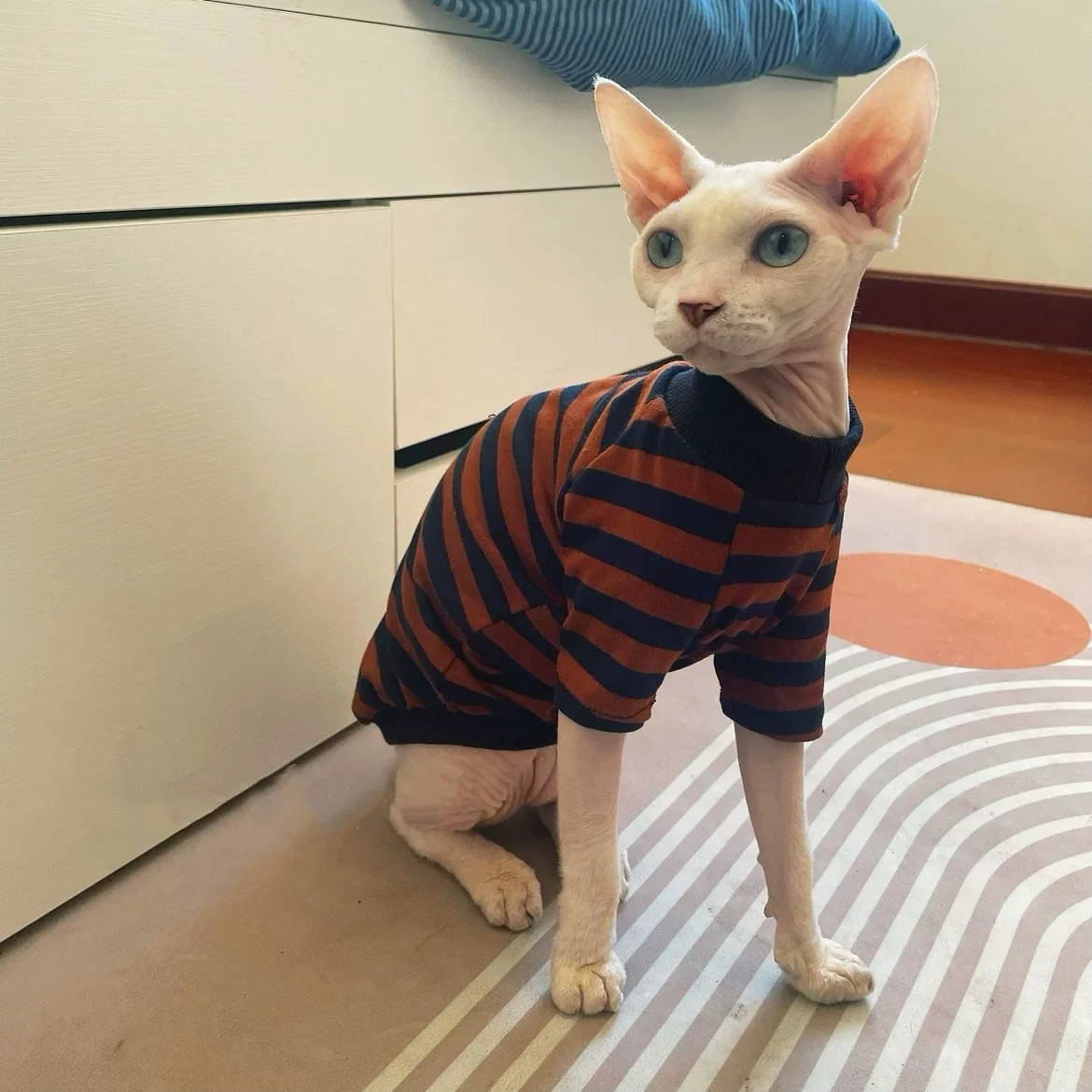 Sphynx Cat Camiseta café a rayas de cuello alto Mangas largas Abrigo de algodón primaveral para gato sin pelo Ropa de estar por casa agradable para la piel para gatitos - imagen 4