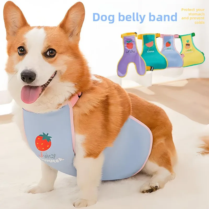 Camiseta térmica impermeable para perro – Protector de vientre Corgi