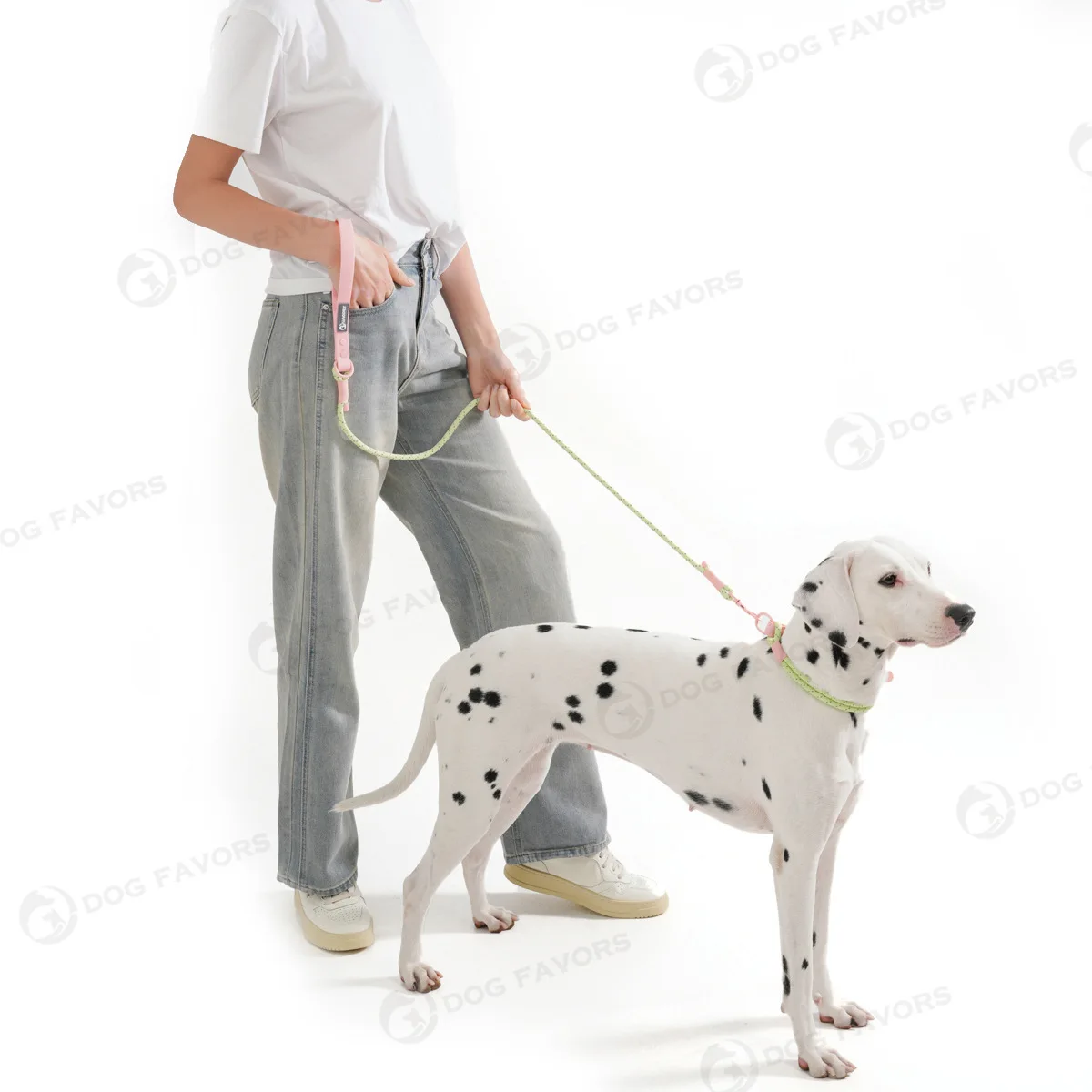 Collar de perro colorido ajustable, correa de entrenamiento para caminar al aire libre, Collar de nailon y PVC para mascotas, cuerda para perros pequeños, medianos y grandes - imagen 2