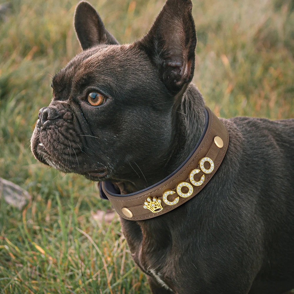 Collar de cuero personalizado para perro, collares con nombre de perro personalizado, Collar para mascota con diamantes de imitación ostentosos, nombre DIY, colgante de corazón con pata de hueso gratis - imagen 5