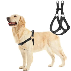 Arnés para perro – Cómodo para paseo diario y entrenamiento