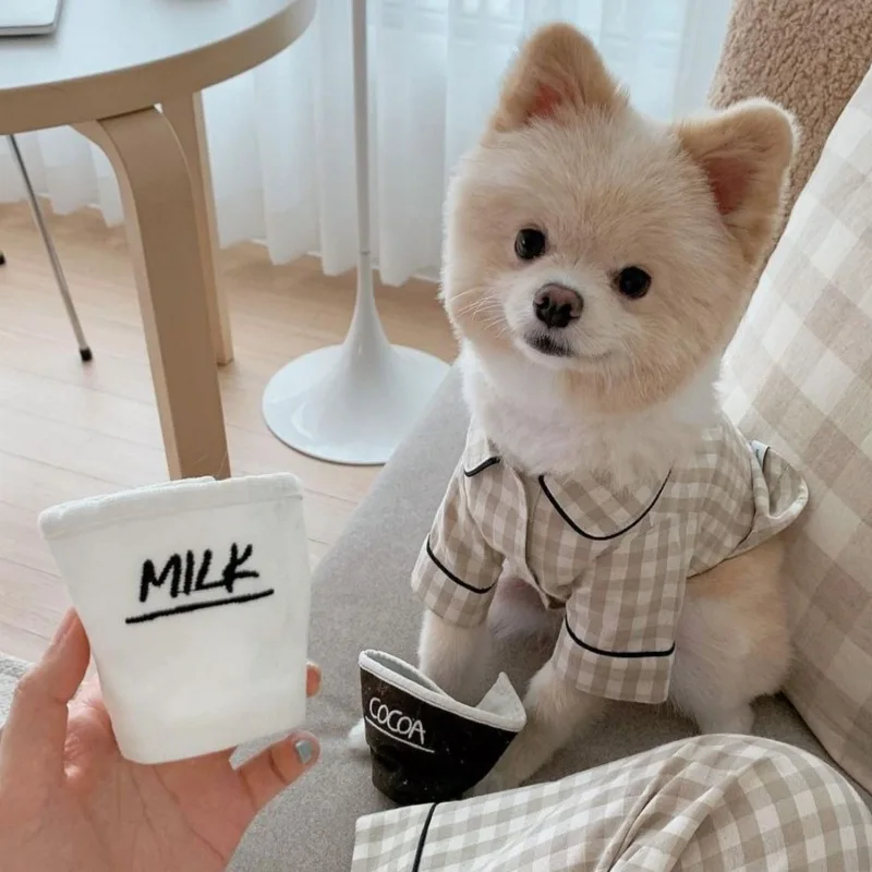 Camisas a cuadros Ins, ropa para mascotas, pijamas para perros, ropa para perros y gatos, disfraz con estampado de gatito pequeño, regalo bonito de verano de color caqui y Yorkshire - imagen 2