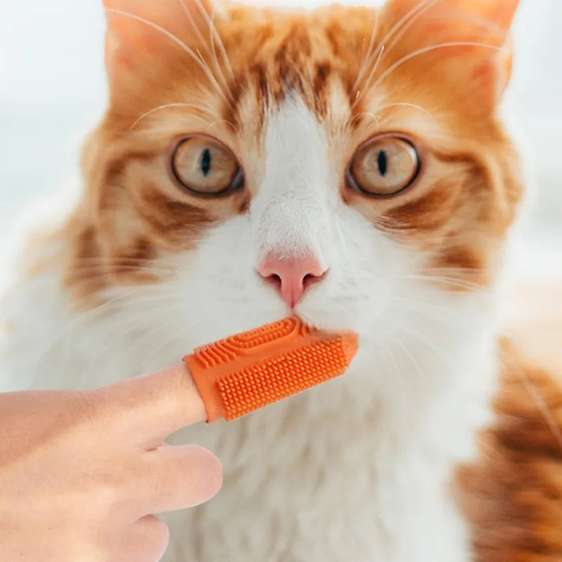 Cepillo de dientes para perros, 2 piezas, limpieza de dientes de perro, pelo suave, cepillo de dientes para cachorros, cepillo de dientes de silicona para perros, juego de 2 uds, cepillos de limpieza bucal para perros - imagen 2