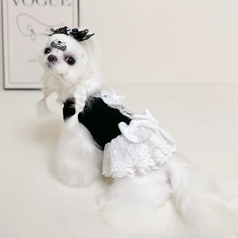 Falda mullida de encaje para mascotas, ropa con lazo para primavera y otoño, falda de encaje sin mangas con Base de princesa, ropa para perros pequeños y cachorros - imagen 3