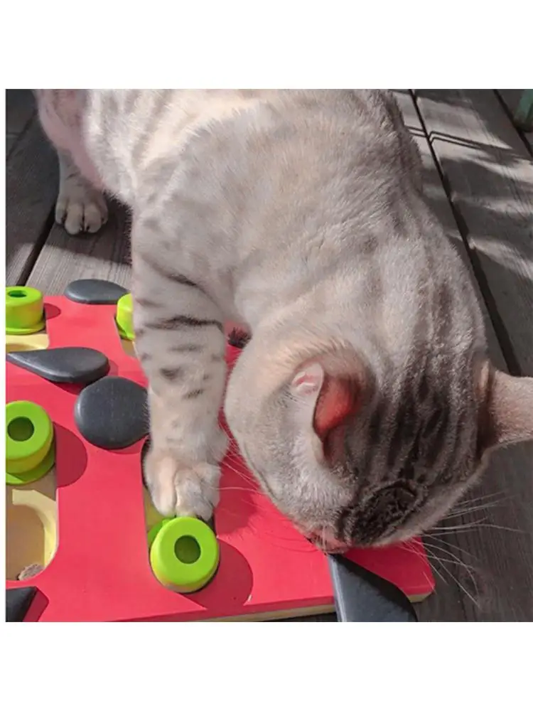 Nuevo juguete educativo para mascotas, juguete para perros y gatos, desarrollo de inteligencia, Bola de fuga, juguete para el aburrimiento - imagen 5