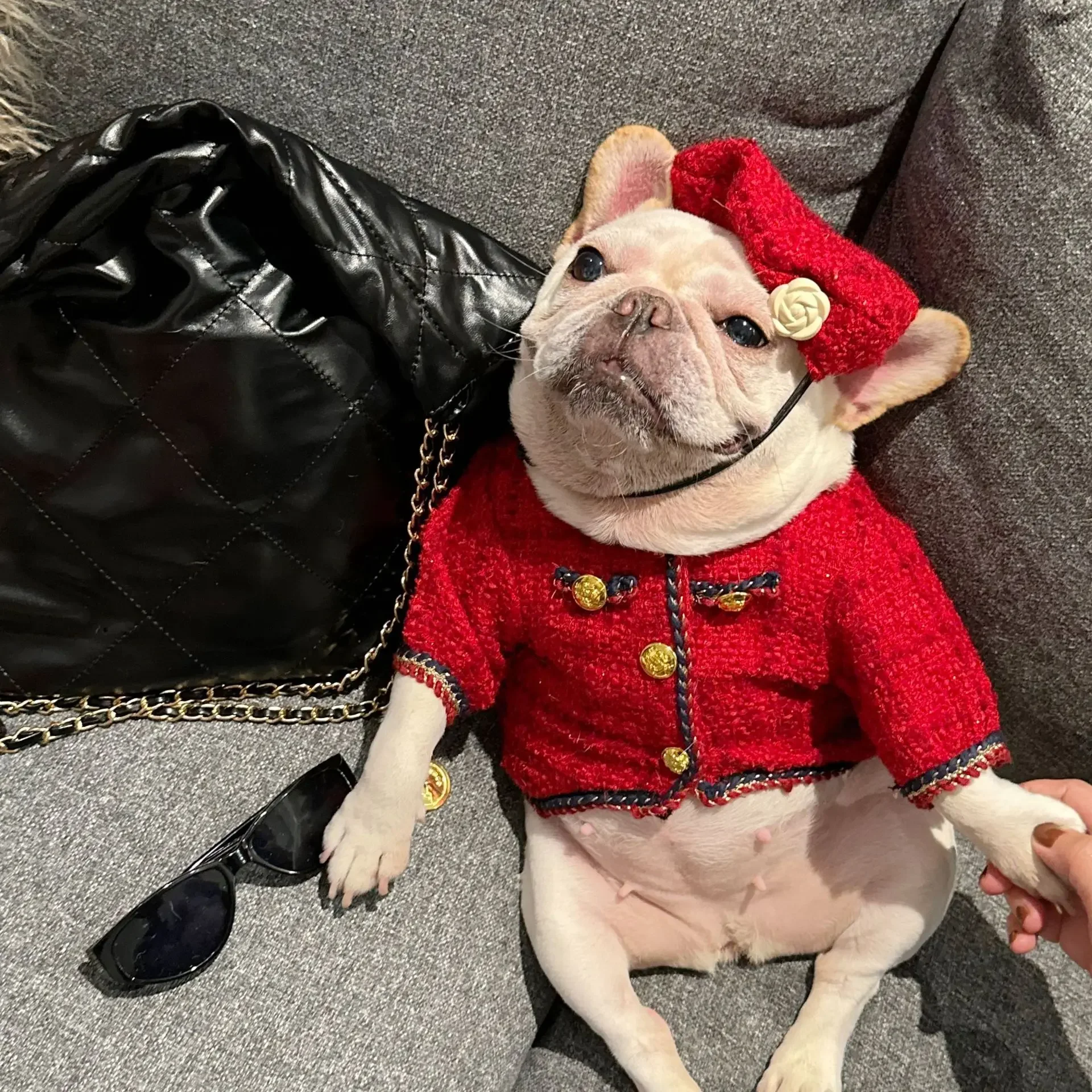 Ropa clásica a cuadros para perro, conjunto de chaqueta y sombrero exquisito para perro, Bulldog Francés, Schnauzer para perro mediano Samll, nuevo, Invierno - imagen 4