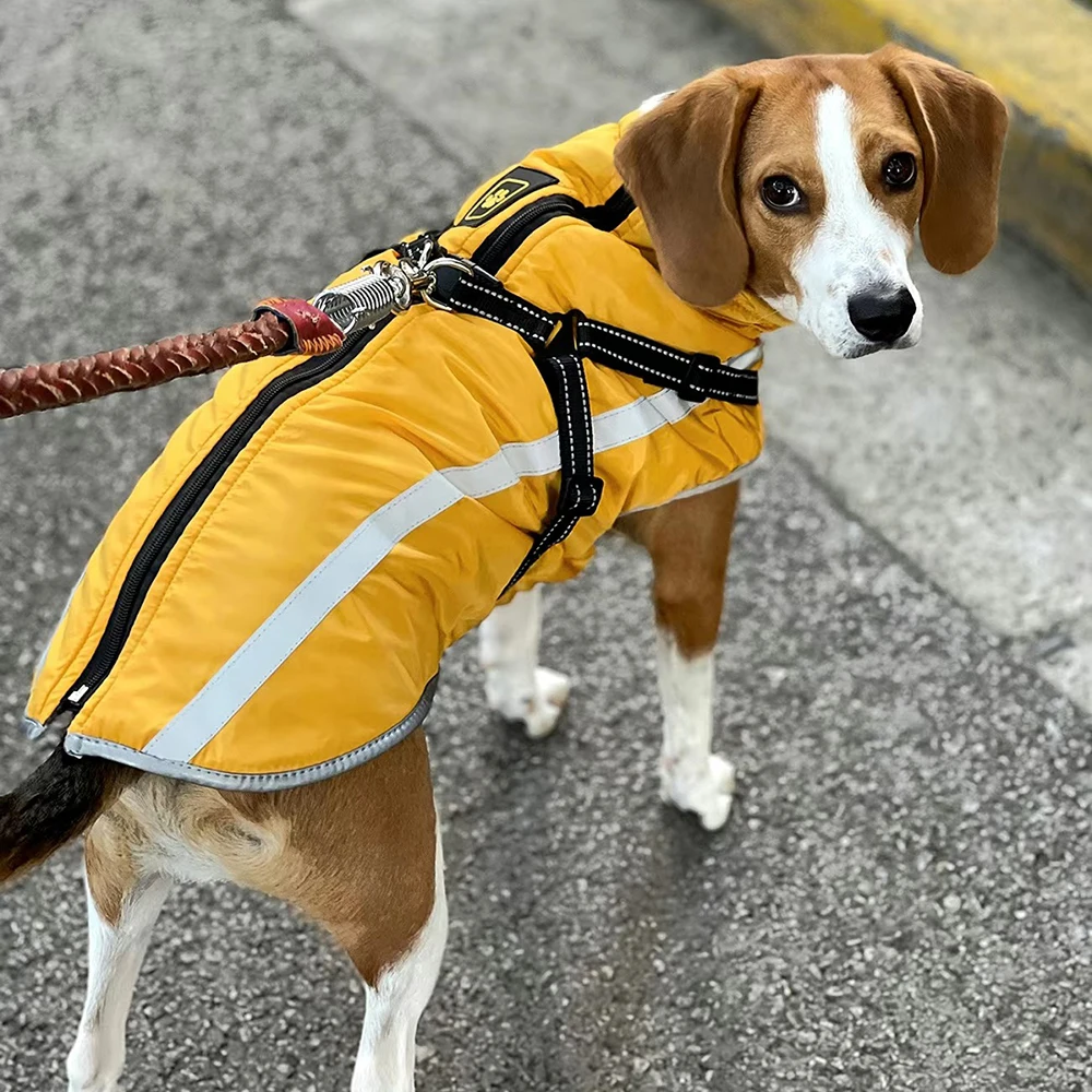 Abrigo de invierno perros grandes y medianos cuello alto–Basset Hound