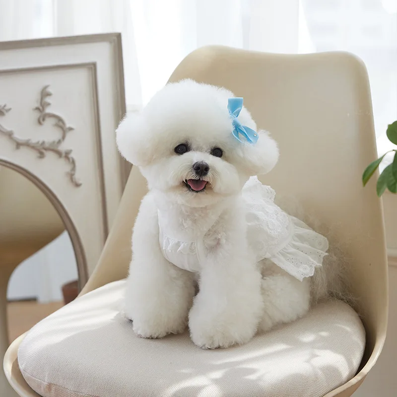 Vestidos blancos para mascotas, falda con tirantes de encaje de verano, camiseta sin mangas para perros y gatos, vestido de encaje para perros pequeños, vestidos para perros pequeños - imagen 3