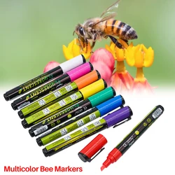 Rotulador marcador de abeja reina – 8 colores para marcar colmenas