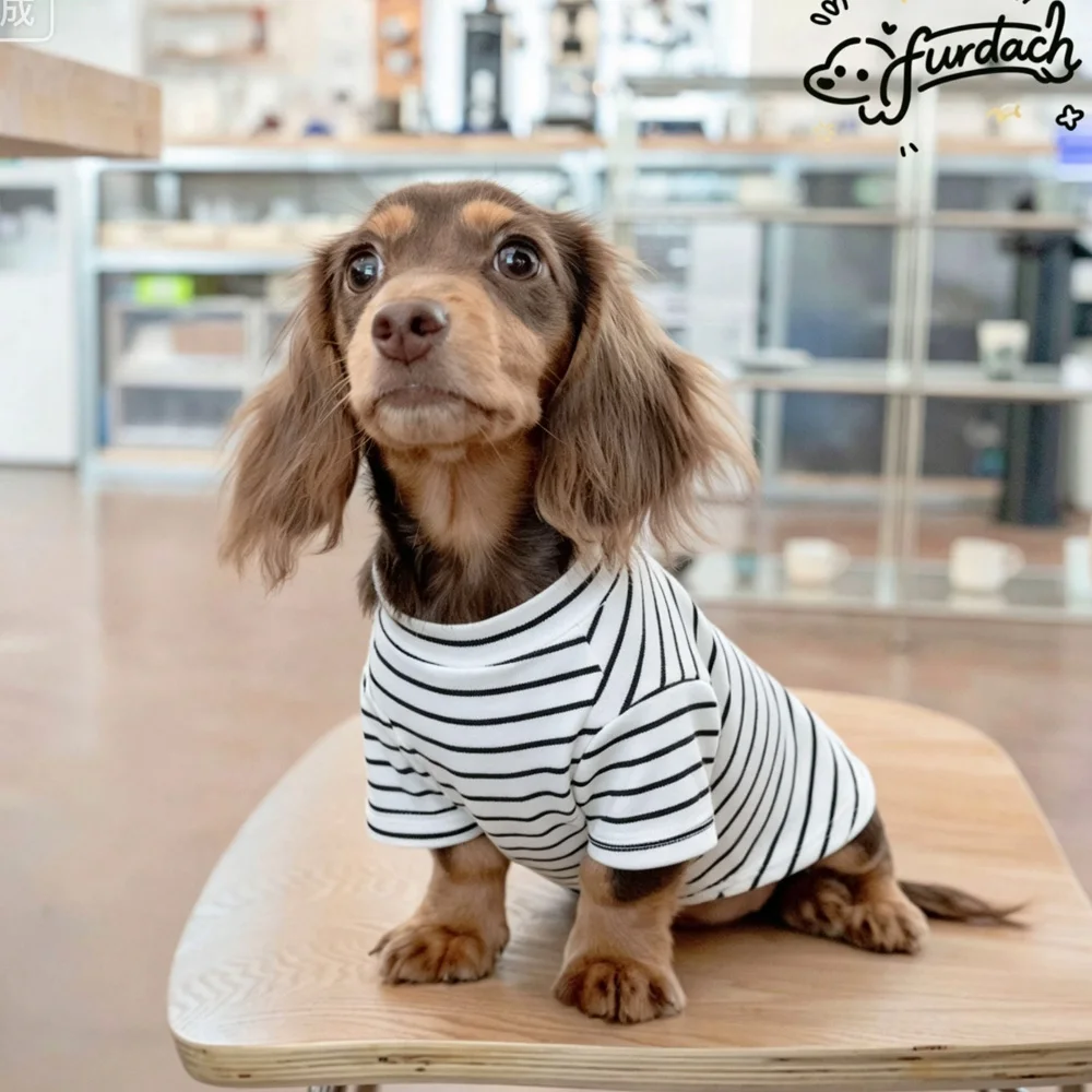 Camiseta de algodón a rayas para perros Dachshund, verano y primavera - imagen 5