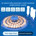 62Eggs single power