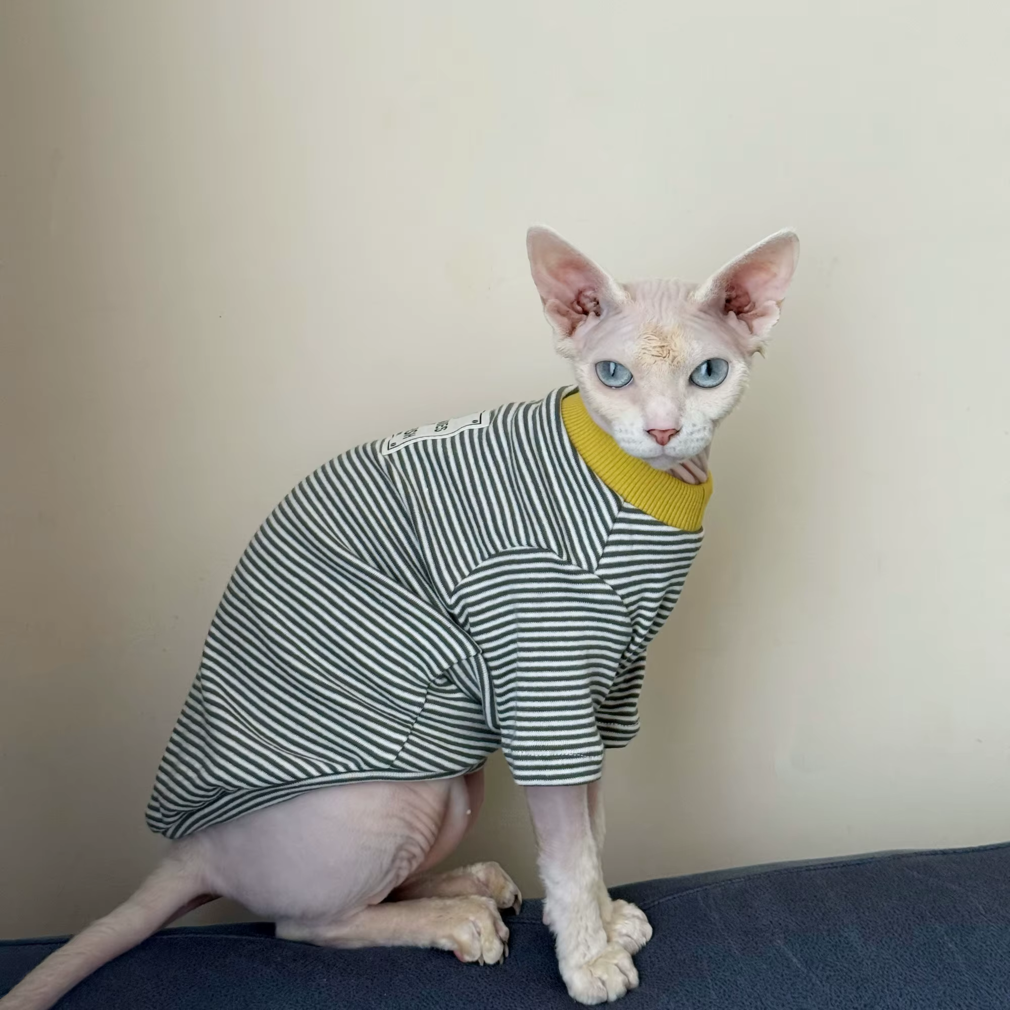 Camiseta algodón rayas manga larga para gatos Esfinge – Abrigo otoño - imagen 4