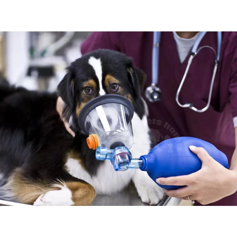 Kit de máscara de oxígeno para mascotas, mascarilla atomizadora de inhalación de oxígeno para perros y gatos, 5 tamaños, herramientas veterinarios - imagen 2