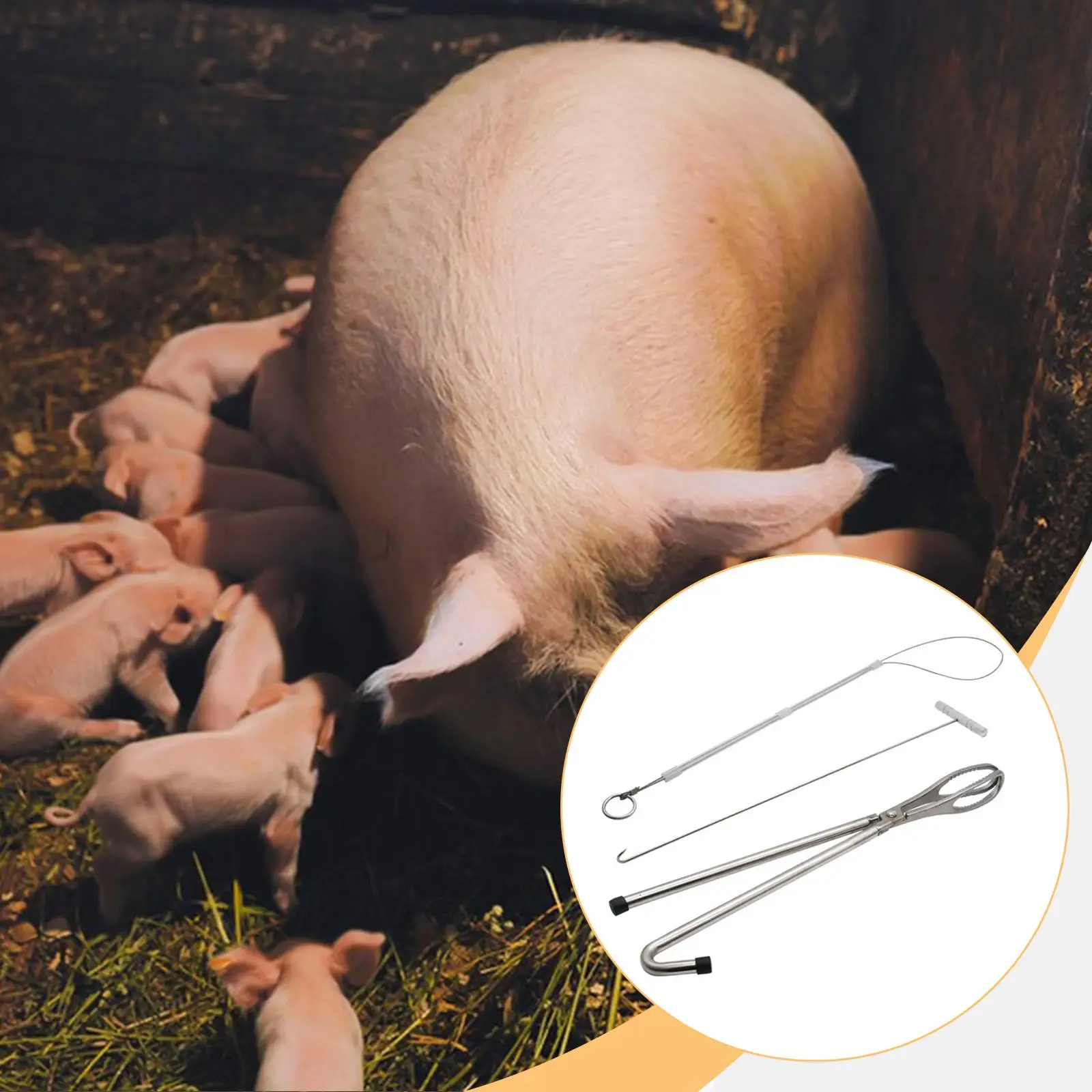 3Pcs Pig Midwifery Tools Kit Stainless Steel Easy to Use Accessories Durability Sturdy Equipment Tool for Goat Cow