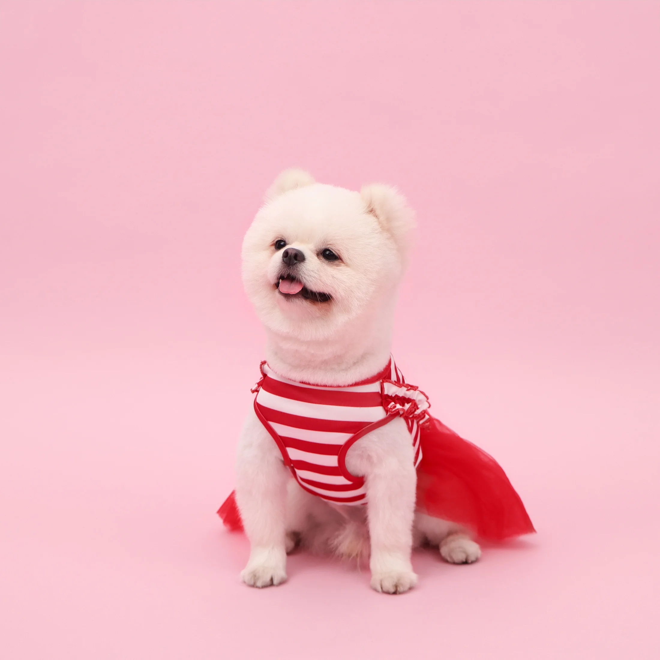 Vestido tutú para perros y gatos pequeños – Diseño San Valentín - imagen 5