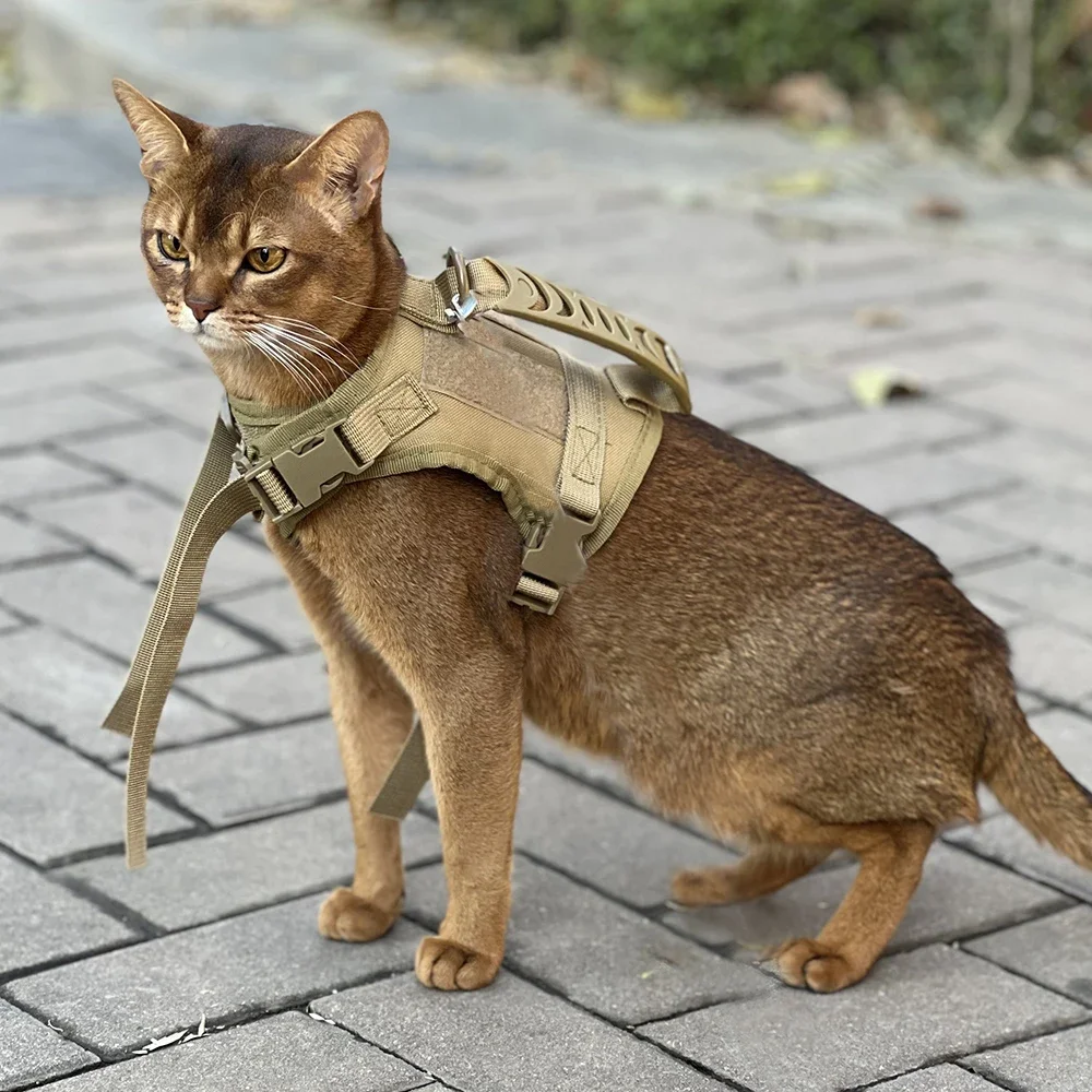Arnés con Correa Ajustable Anti-Escape para Gato – Suave y Cómodo - imagen 4
