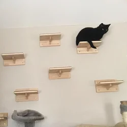 Escaleras y estantes de pared para gatos – Gimnasio feltro natural