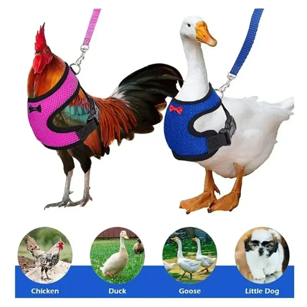 Chaleco para mascotas cinturón transpirable pollo pato moda malla mascota con pecho espalda conjunto mascota más tracción pollo pato ganso entrenamiento caminar - imagen 3
