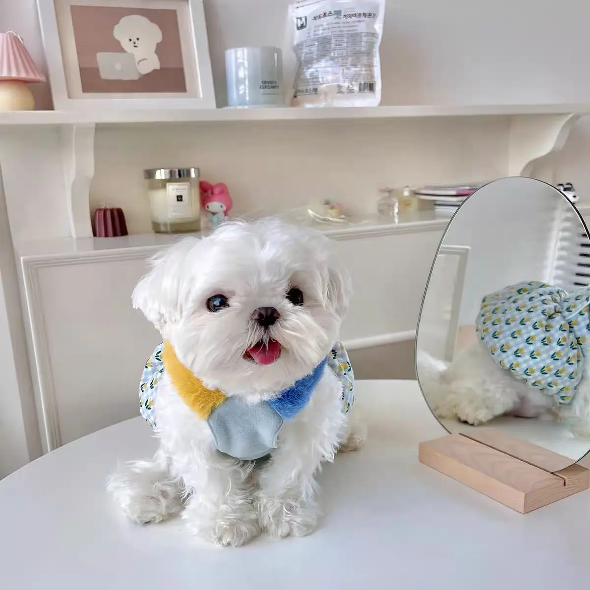 INS falda de calabaza cálida para mascotas, abrigo a cuadros, falda de tulipán para mascotas pequeñas, cachorro, gato, oso de peluche de Pomerania, vestido de otoño e invierno - imagen 3