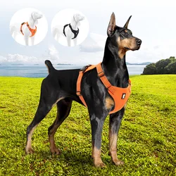 Arnés nailon transpirable para perros grandes – Ajustable y resistente