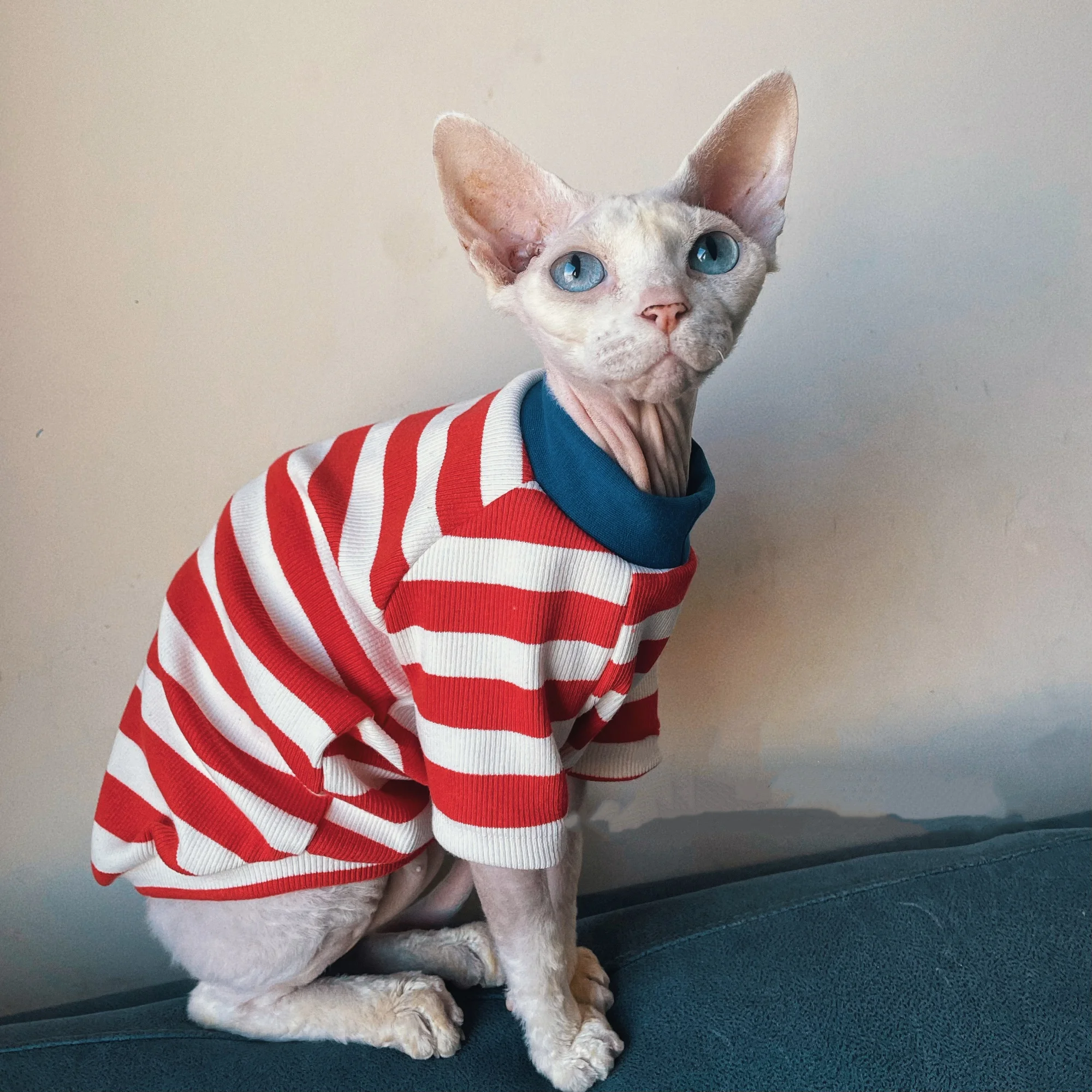 Camiseta de algodón a rayas de otoño para gato sin pelo, abrigo rojo suave y cálido de manga larga para pijamas de primavera Sphynx Cat para Devon Rex - imagen 2