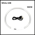 White USB Charging