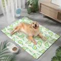 Pet Cooling Mats-B