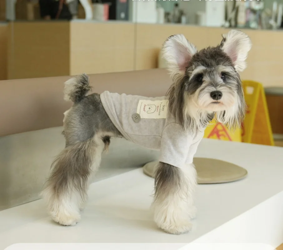 Ropa de otoño e invierno para perros, camisetas interiores de dos patas de lana para perros Teddy Pomeranian, ropa cálida de terciopelo, chaleco de lana para perros