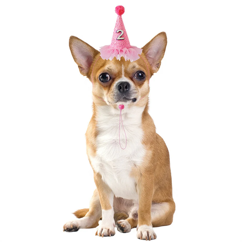 Gorros para perros y gatos, gorros con corona cortada para Chihuahua, Bulldog Francés, accesorios para fiesta de cumpleaños, gatito y cachorro, gorro para perro - imagen 4