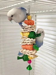 Juguete masticar colgante ratán para loros y periquitos con campana