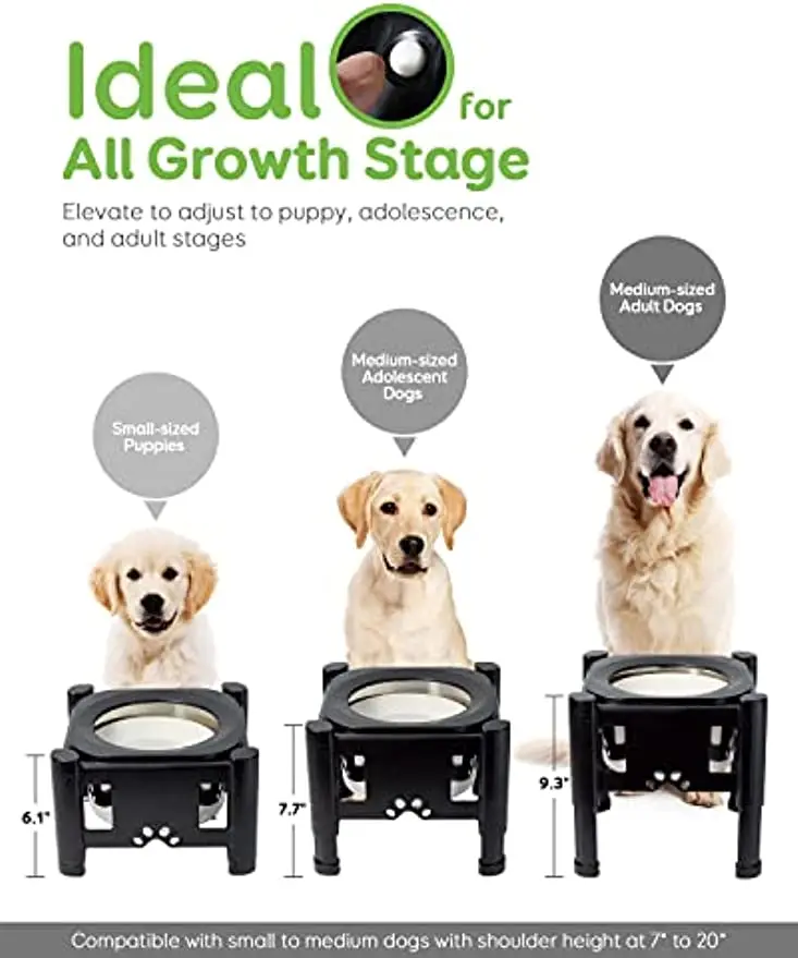 Cuenco de agua elevado para perros pequeños y medianos, comedero lento, soporte ajustable de 80Oz, 3 alturas - imagen 2