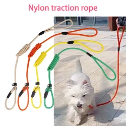 Correa nailon para perros activos – Resistente y ligera