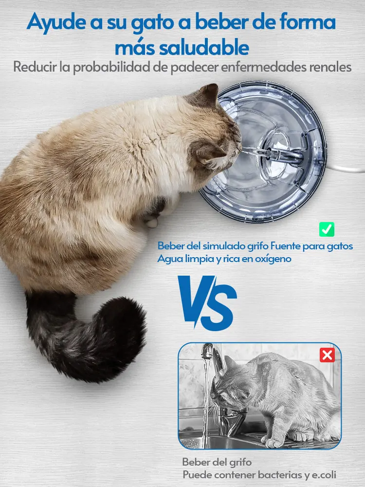 DownyPaws Fuente de Agua Automática para Gato, Con Grifo, Dosificador de Agua para Perro, Capacidad de 2 L, Filtro Transparente, Bebedero para Mascotas con Sensor, Alimentador para Beber - imagen 5