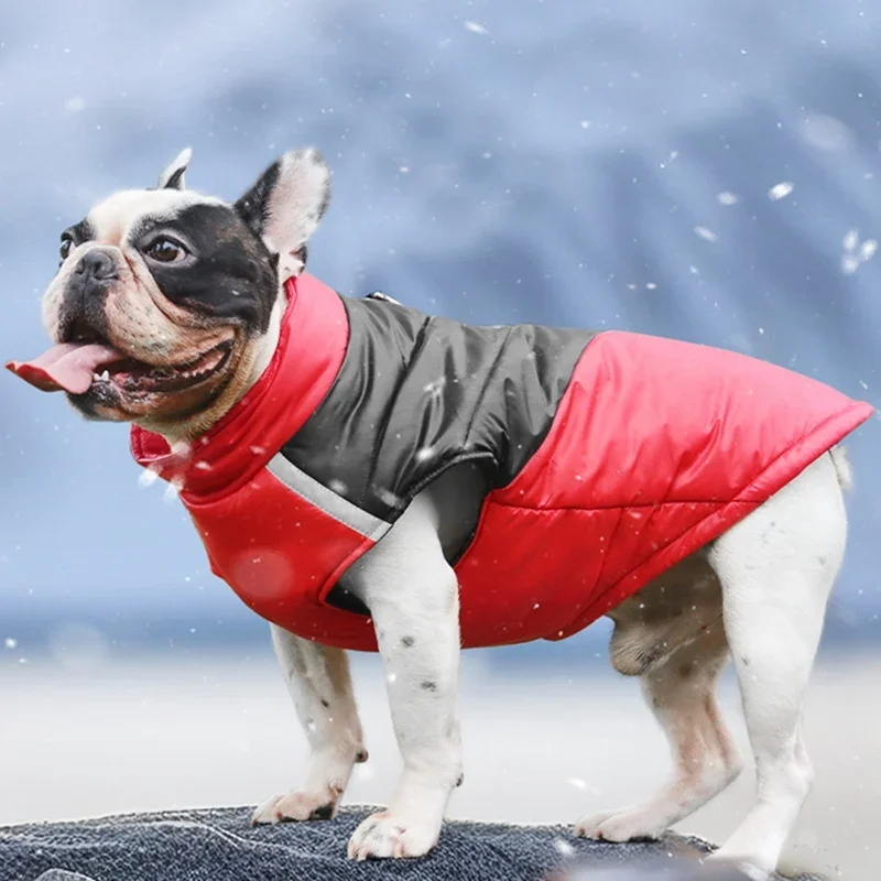 Ropa cálida de invierno para perros, chaqueta impermeable para perros pequeños y grandes, chaleco para cachorros, abrigo para Chihuahua, disfraces de Bulldog Francés Yorkie Pug - imagen 2
