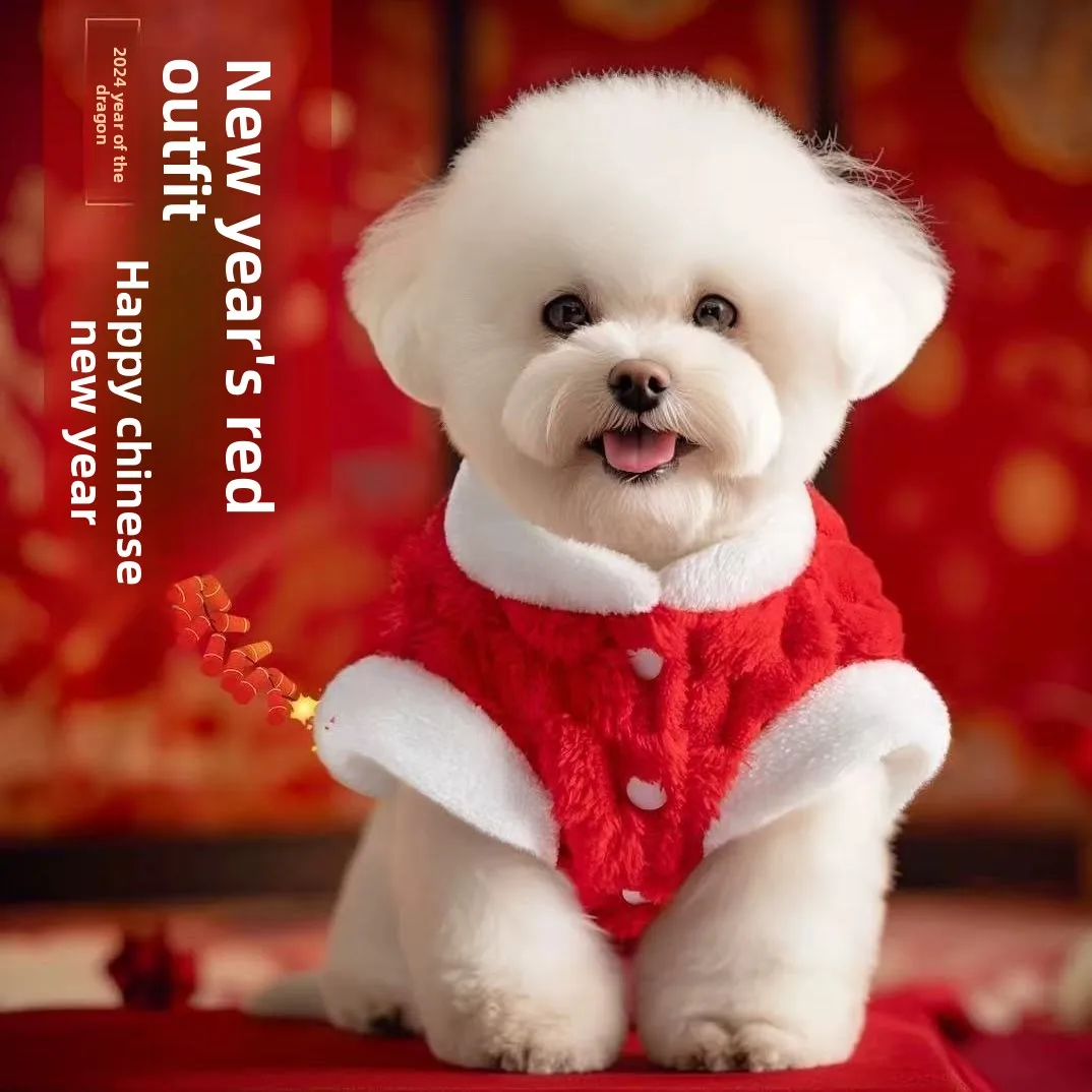 Ropa para perros Otoño Invierno estilo grueso ropa de terciopelo cálida Pomerania perro pequeño mascota Año nuevo ropa festiva de invierno de felpa