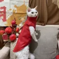 Red Jacket