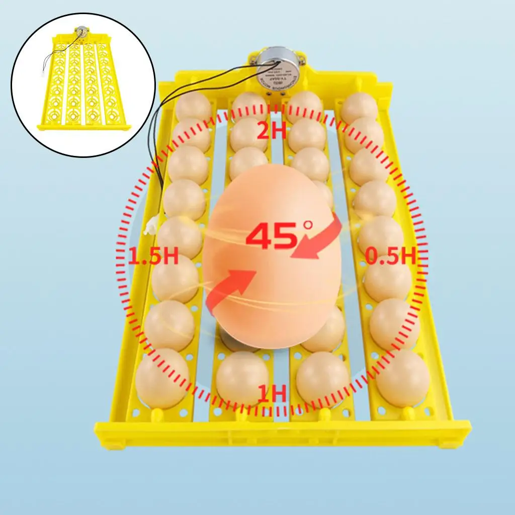Egg Incubator Tray Automatic Turning Small er Household 220V 32 Eggs Tray for Bird Poultry Chick Duck Eggs Egg Incubator Tray Automatic Turning Small er Household 220V 32 Eggs Tray for Bird Poultry Chick Duck Eggs