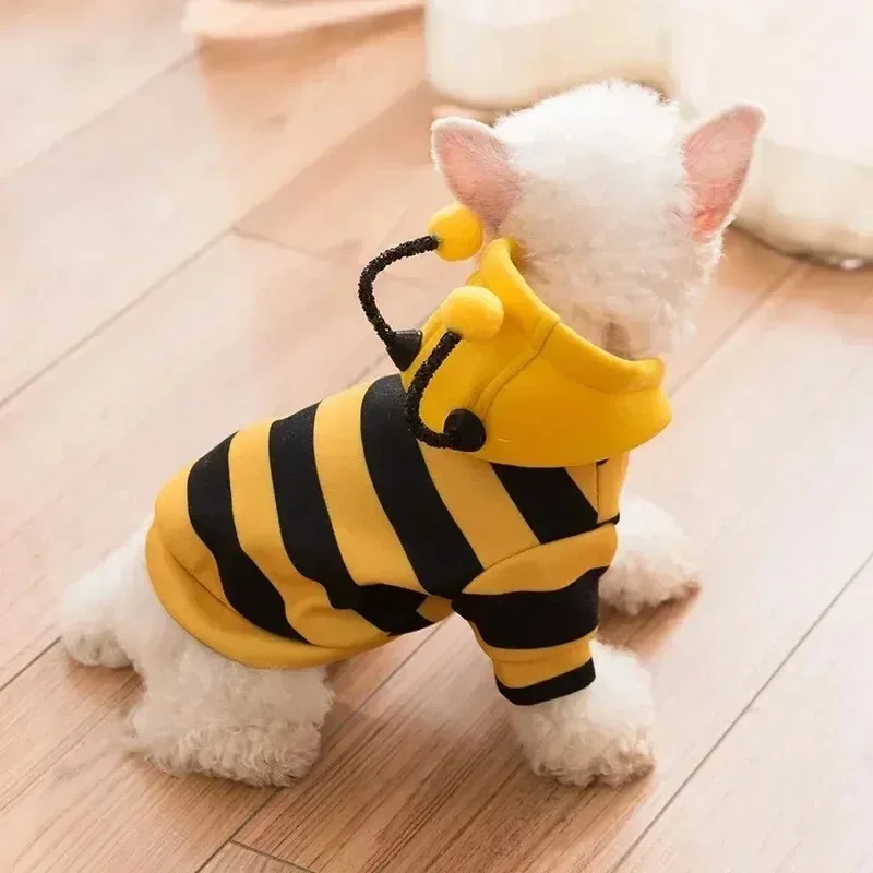Sudadera con capucha para perros y gatos de otoño e invierno, conjunto Bee Transformation, adecuado para Sherina, Teddy, cachorros y gatos pequeños - imagen 3