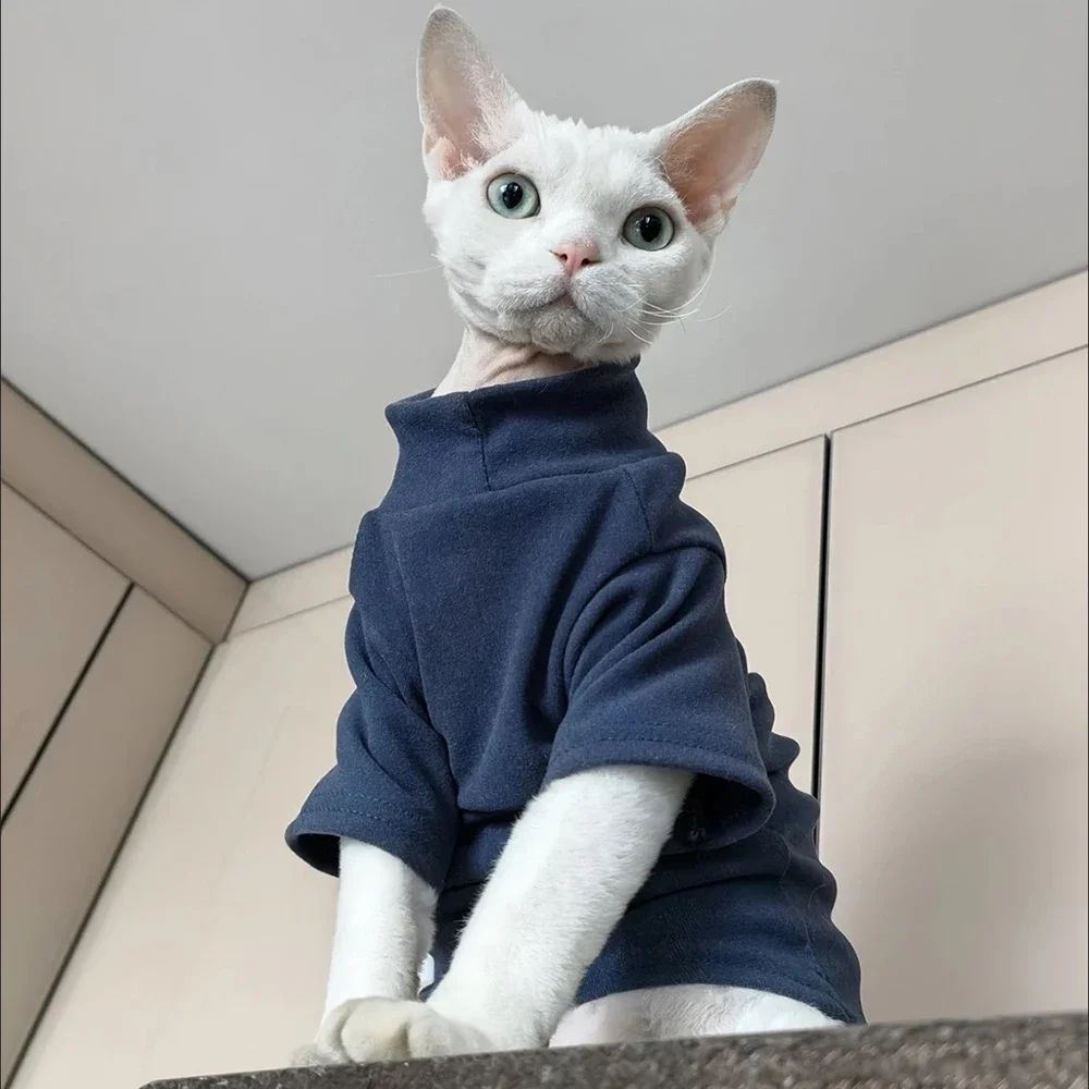 Otoño Invierno gato Sudadera con capucha para gatos sólido mascota gatito ropa Sphynx Maine Coon Ragdoll jerseys ropa para gatos mascotas camisas - imagen 5