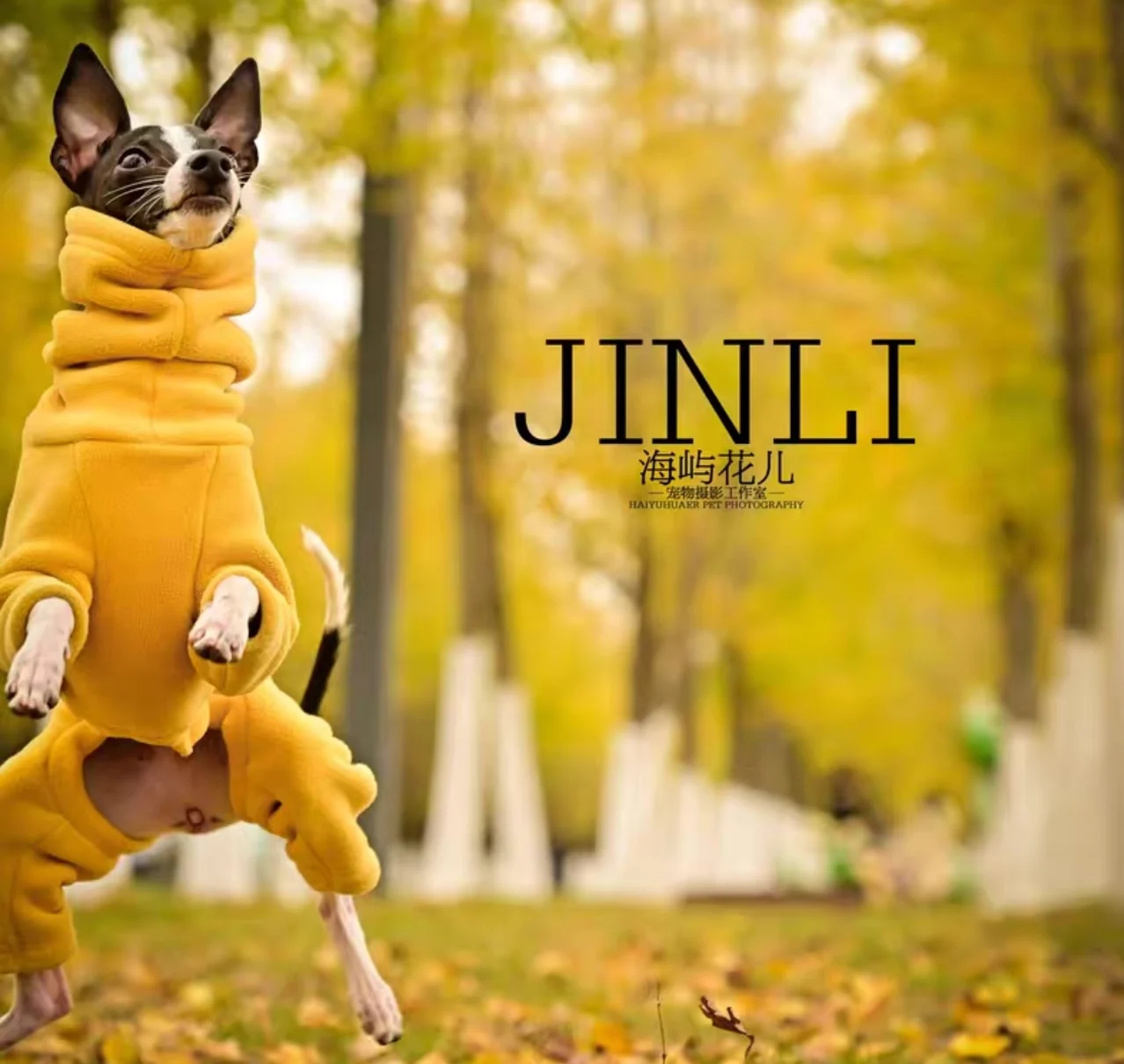 Mono polar de primavera e invierno para galgo italiano, abrigo amarillo suave de 4 patas con cuello alto a la moda para proveedor de mascotas Whippet - imagen 2