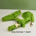 Harness   leash