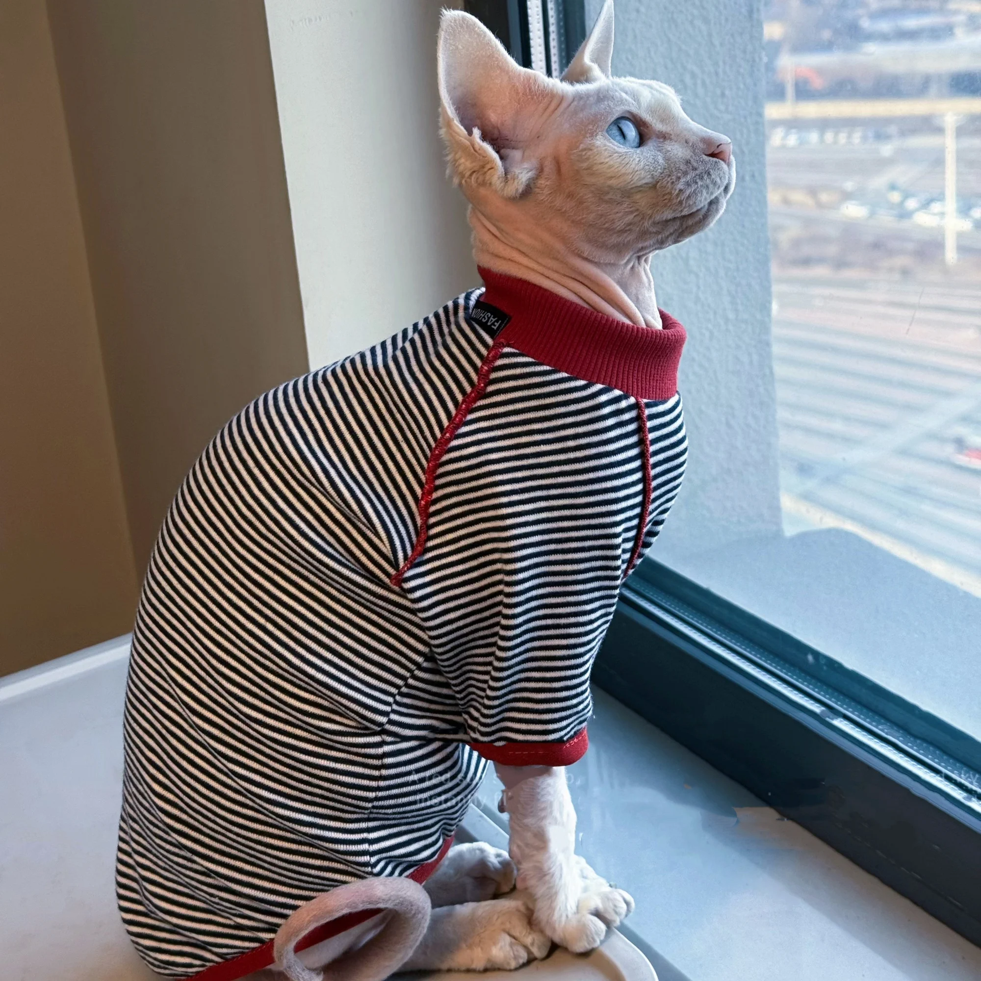 Ropa para gatos: camiseta primavera, pijama Devon Rex y abrigo Sphynx - imagen 2