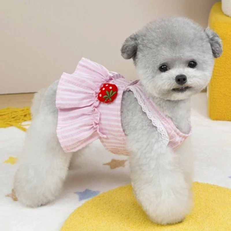 Conjunto vestido lujo perro estampado fresa y arnés chaleco gato - imagen 2