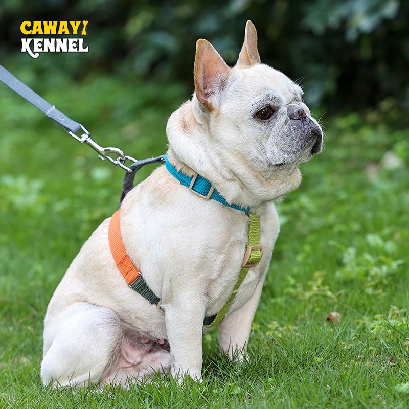 Arnés de algodón para perros pequeños y grandes, chaleco ajustable para cachorros, chaleco transpirable para caminar al aire libre, suministros para mascotas