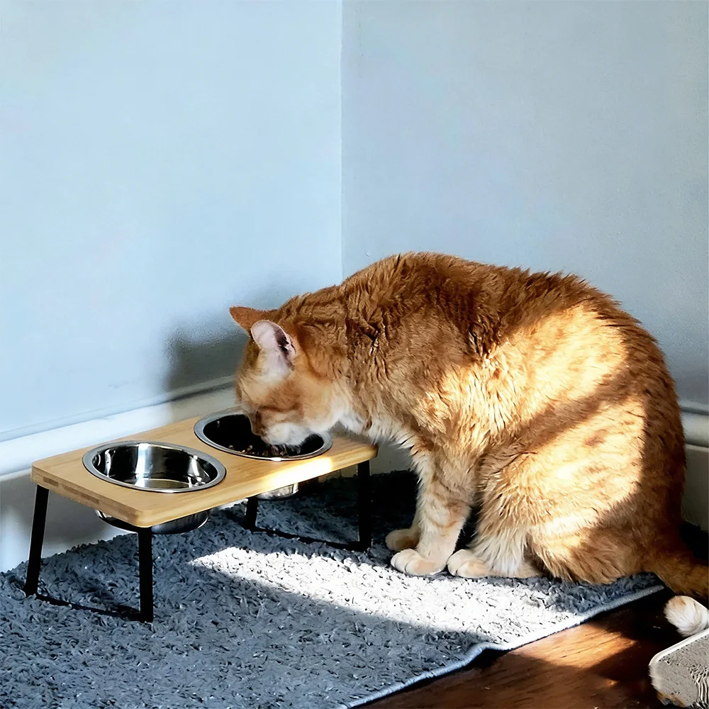 Cuencos inclinados 15° para gatos y cachorros – Acero inoxidable