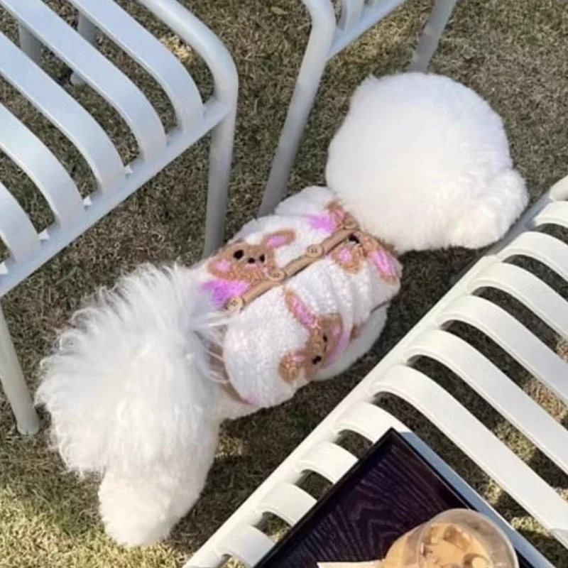 Abrigo para perros, chaqueta de lana para invierno, ropa para perros con estampado de dibujos animados, abrigo para cachorros, chaleco de gato de lujo, chaqueta, disfraces para mascotas, ropa para Chihuahua - imagen 2